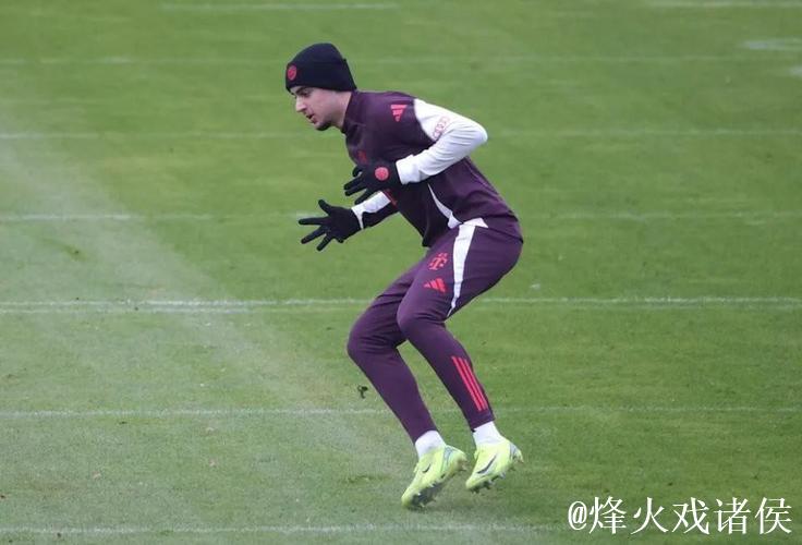 帕夫洛维奇无大碍,但将缺席斯图加特战役 帕夫洛维奇无大碍,但将缺席斯图加特战役